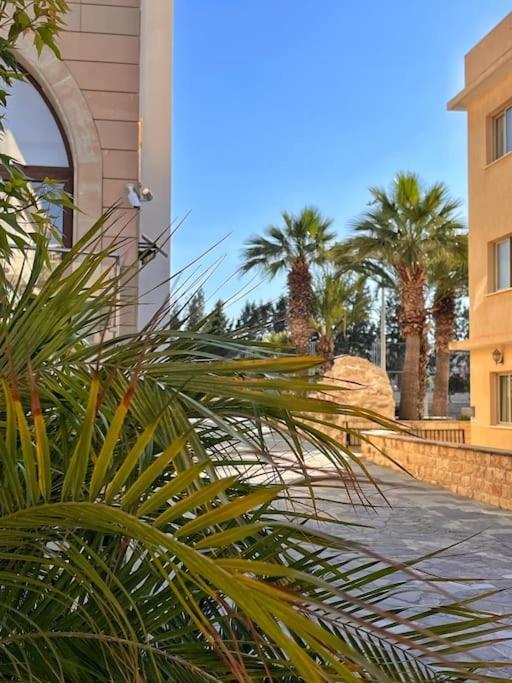 Teo Apartment بافوس المظهر الخارجي الصورة