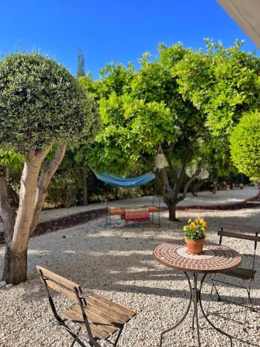 Teo Apartment بافوس المظهر الخارجي الصورة