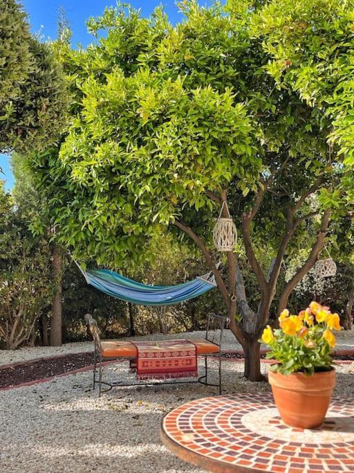 Teo Apartment بافوس المظهر الخارجي الصورة